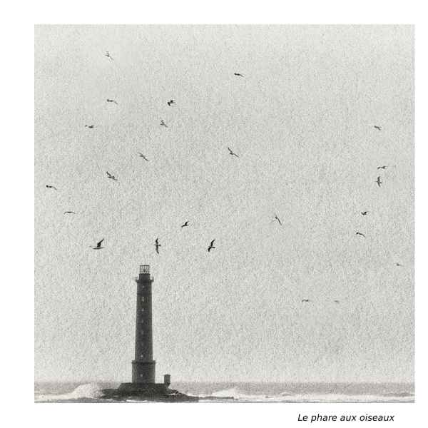 Le phare aux oiseaux